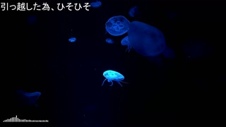 2025/05/17 00:41:43