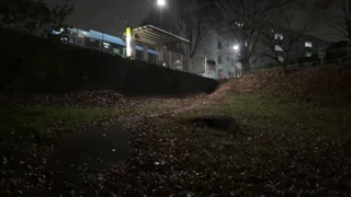2025/01/19 21:18:41