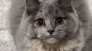 2025/06/03 22:59:28