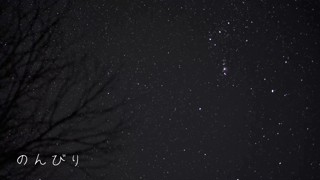 2025/04/17 21:39:54