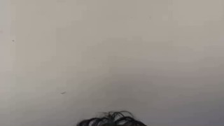 2025/07/04 06:55:41