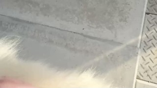 2025/06/29 17:25:29