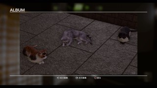 2025/05/23 17:47:31