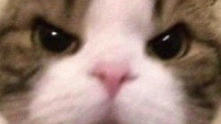 2025/06/28 02:17:06