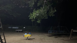 2025/05/04 08:43:55