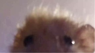 2025/04/23 13:08:43