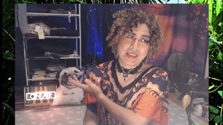 2025/06/17 01:48:08