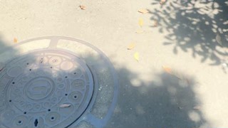 2025/06/17 11:03:46