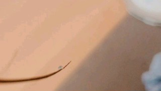 2025/06/30 07:50:21
