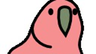 2025/05/11 23:53:52