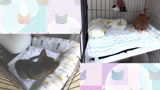 2025/07/17 11:04:36