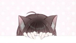 2025/05/03 15:13:55