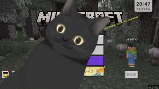 2025/03/21 20:47:06