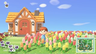 2025/04/09 22:33:06