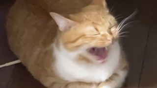 2024/09/16 17:17:41