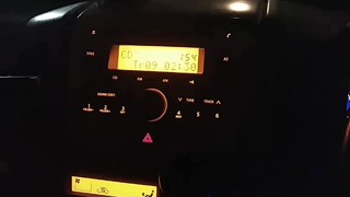 2025/06/07 01:55:19