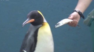 2025/05/02 18:03:44