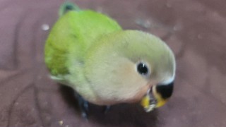 2025/07/04 15:12:59