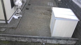 2025/05/09 15:20:33