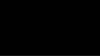 2025/03/16 03:14:13