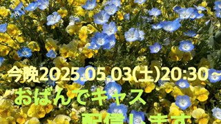 2025/05/03 20:29:52