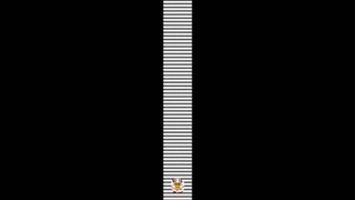 2025/06/29 11:46:40