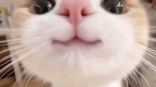 2025/06/30 22:59:20