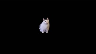 2025/05/03 08:42:20