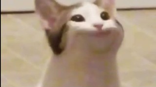 2025/05/23 22:44:02