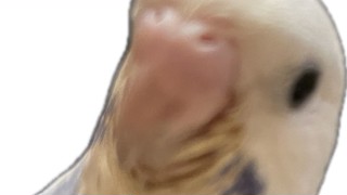 2025/06/15 13:42:47