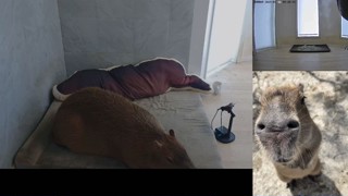 2025/03/16 09:28:53