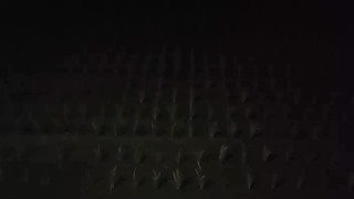 2025/06/26 02:53:44