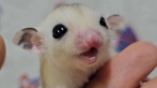 2025/06/29 08:23:49