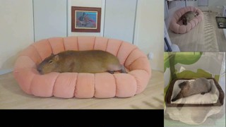 2025/03/30 23:24:40