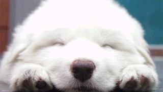 2025/01/15 14:04:28