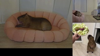 2025/03/18 20:49:25