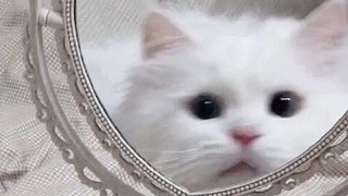 2025/06/23 21:43:40