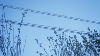 2023/11/22 01:14:40