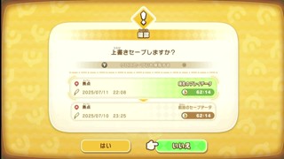 2025/07/11 22:10:02
