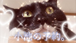 2023/11/11 00:41:35