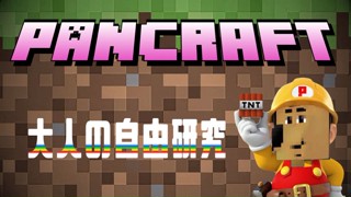 2025/05/24 21:24:40