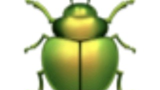 2025/06/29 03:43:52