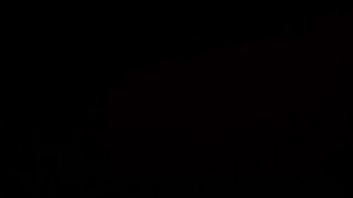 2023/06/06 06:50:31