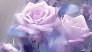 2025/05/03 15:03:13