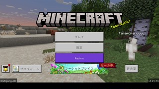 2025/04/19 13:51:17