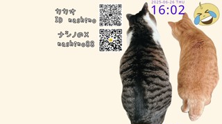 2025/06/26 16:02:33