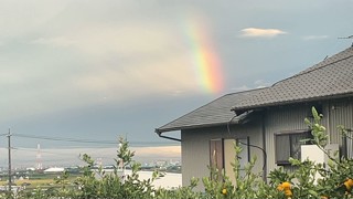 2025/05/13 13:06:40