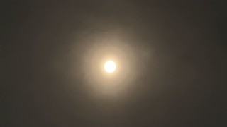 2025/06/19 09:31:31