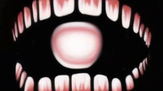 2025/05/03 08:30:04