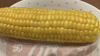 2025/07/02 20:54:56